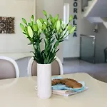 Vila Casa Coralea *